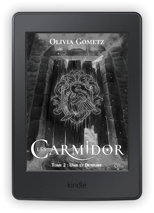 Tome 2 : Unir et Détruire (format ebook)